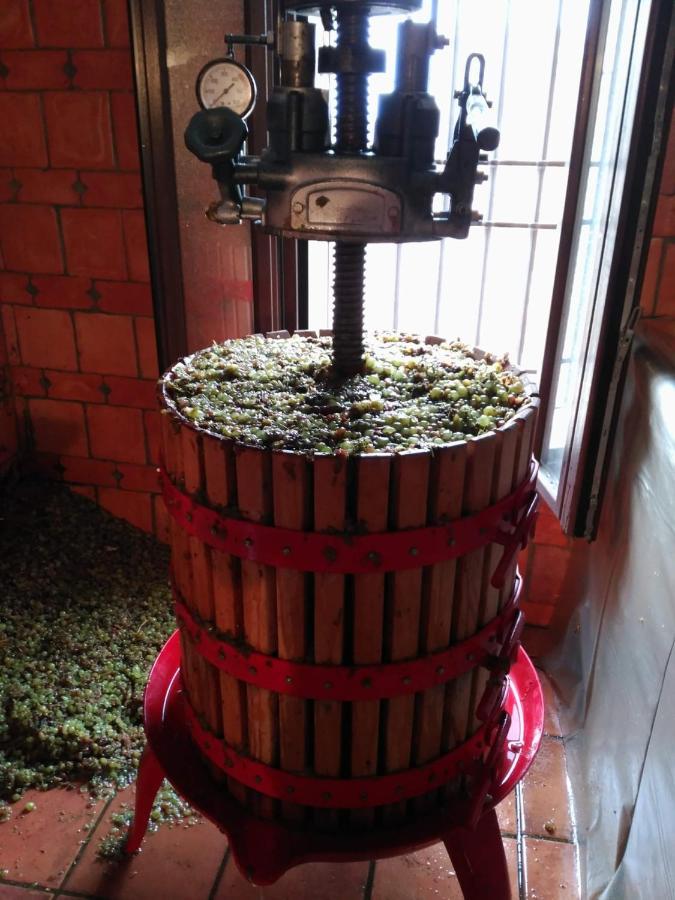 Casa Rural La Bodega, Ofrece Cata De Vino Gratis Horche Kültér fotó